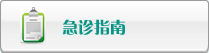 鸡吧插在穴里网站